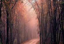 曼联前锋霍伊伦有可能要去填补奥斯梅恩的空档。.