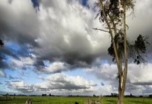 [德甲]温德中场分球 托马斯奔袭单刀破门.