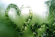 NG28:2025亚洲青年击剑锦标赛 中国男重团体夺金女花摘银央视体育.