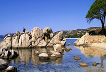 新加坡足总会长陈国强宣布不竞选连任.